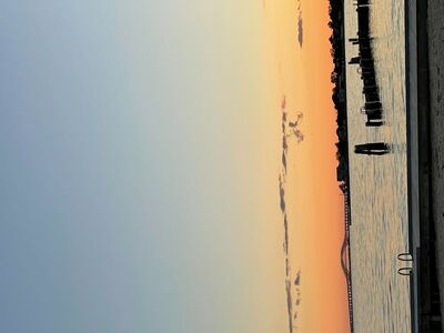 Star Gazing at the Bay Shore Marina