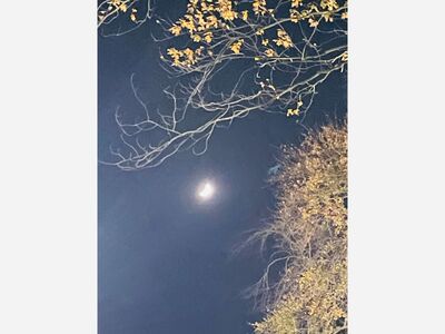 Stop and Smell the Mums, and Don't Forget to Look up at the Night Sky this Month