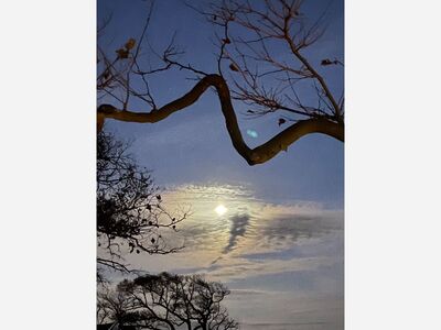 The Waxing Gibbous Moon