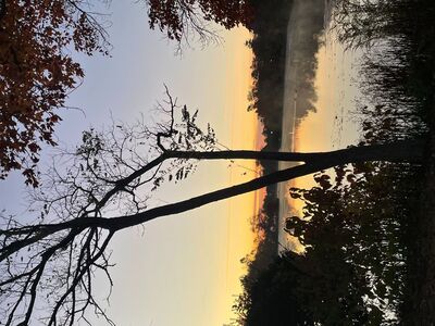 Alzheimer's Disease Monthly Support Group