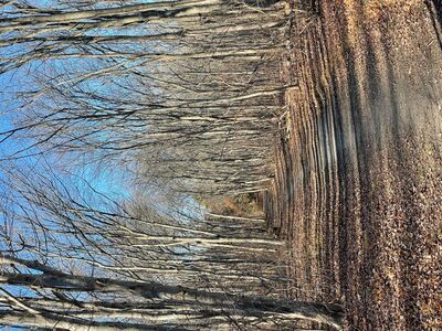 A New Year, A New Path