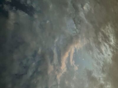 The Wind is Love