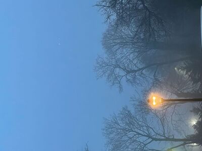 Let Your Light Shine Around Bay Shore, and Beyond