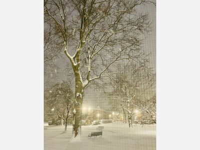Fresh Fallen Snow