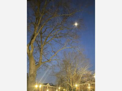 Morning Moon over Bay Shore