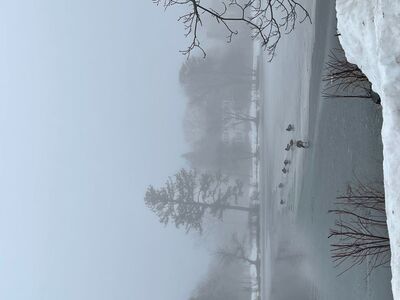 The Big Fog