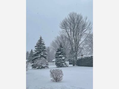 A Winter Wonderland in North Country