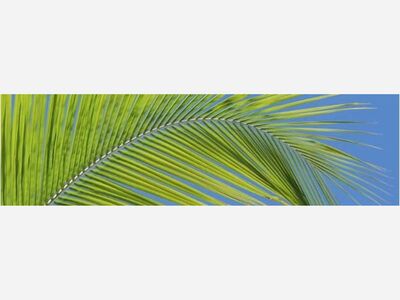 Holy Week at St. Patrick's Church in Bay Shore