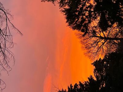 Trust Yourself and Go with the Flow