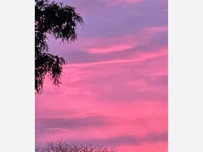 The Colors of Mother's Day