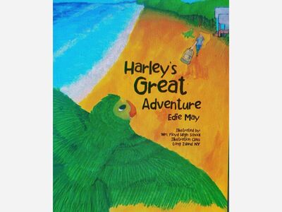 Harley's Great Adventure by Edie May