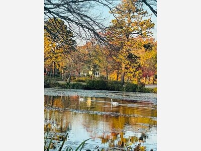 November - A Time to Give Thanks and the Return of Standard Time