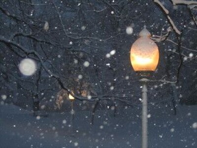Feeling Grateful at the First Glimpse of Winter