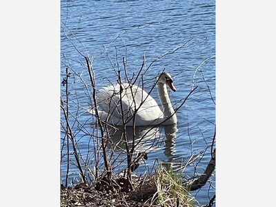 Celebrating the Summer Solstice in Solitude