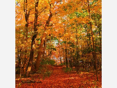 The Change of Seasons