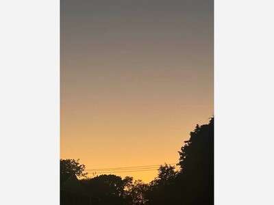 October Stories - The Wild Side of Life