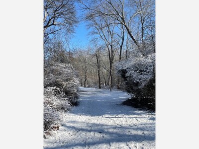 Reinventing Ourselves in Winter