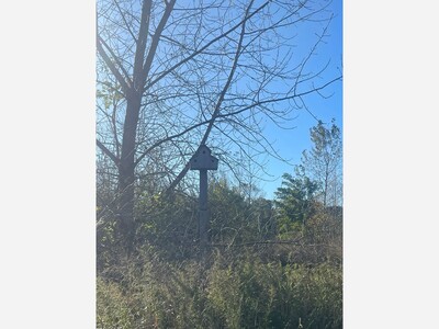 The Bird Houses of Blue Point Preserve and the Birds Inhabit Them
