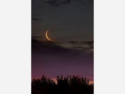 Babylon Italian Feast