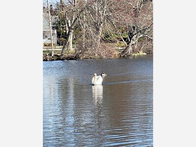 Great South Bay Audubon Society April Meeting