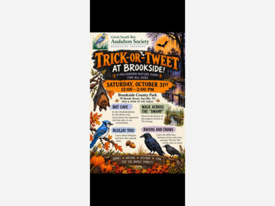 Trick or Tweet at Brookside Park