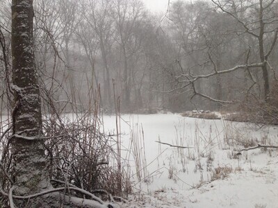 Winter Fest in Bay Shore